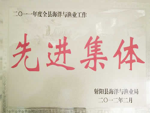 2011年度先進(jìn)集體