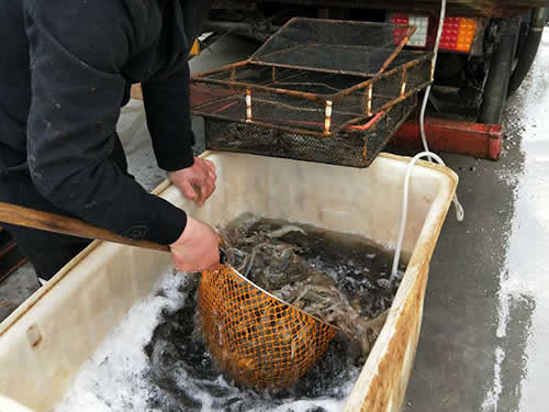 捕蝦現(xiàn)場09